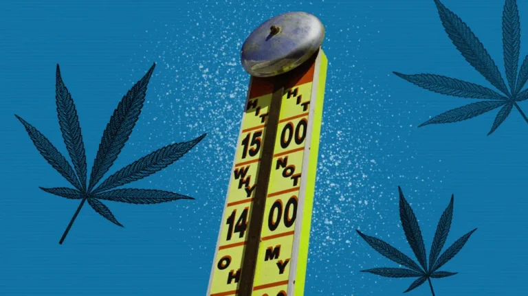 336006-What-are-the-strongest-CBD-products-available-1296x728-Header-1074a7-1024x575