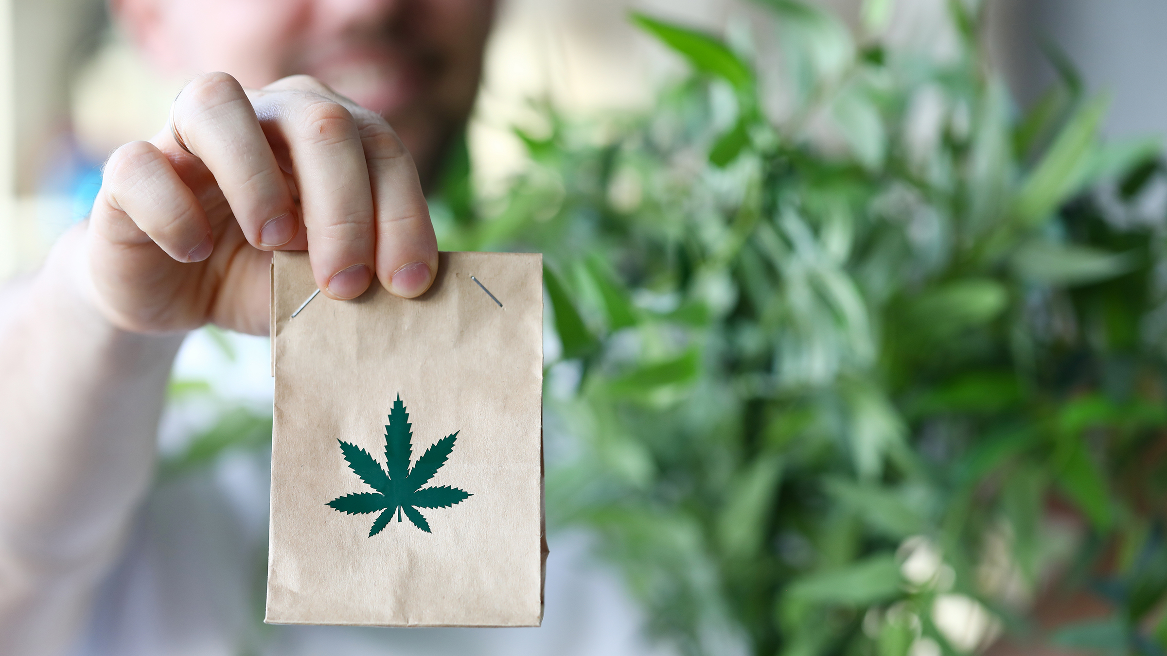 Male hand hold paper packet with marijuana symbol closeup background
