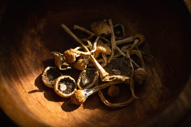Benefits and Effects of THC Capsules for Daily Wellness